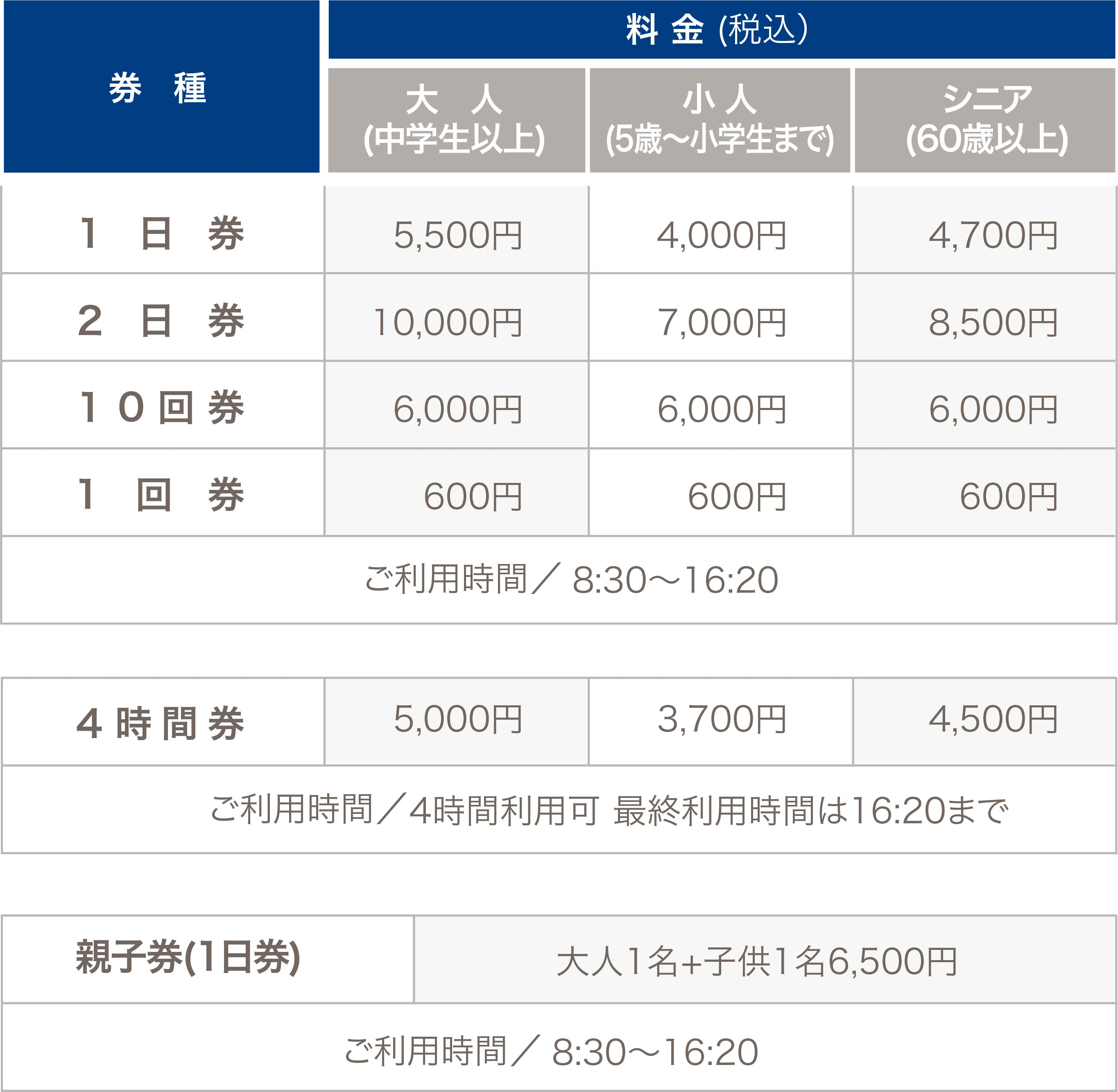 施設利用券会津高原たかつえスキー場 リフト1日券